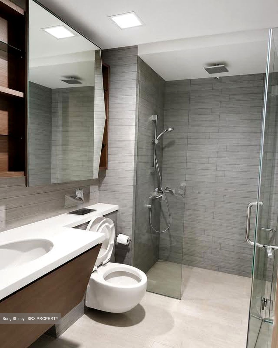 V On Shenton (D1), Apartment #612501851
